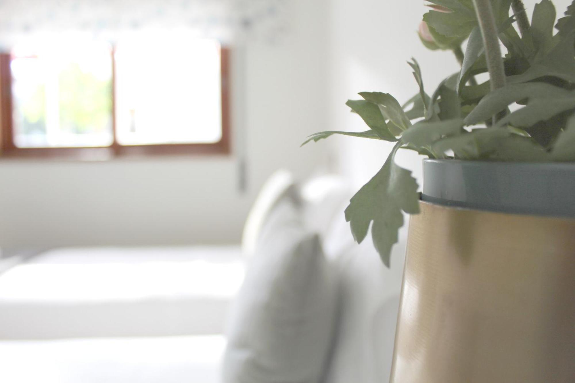 Aromas Flavors Tours - Apartment Velasquez Oporto Extérieur photo